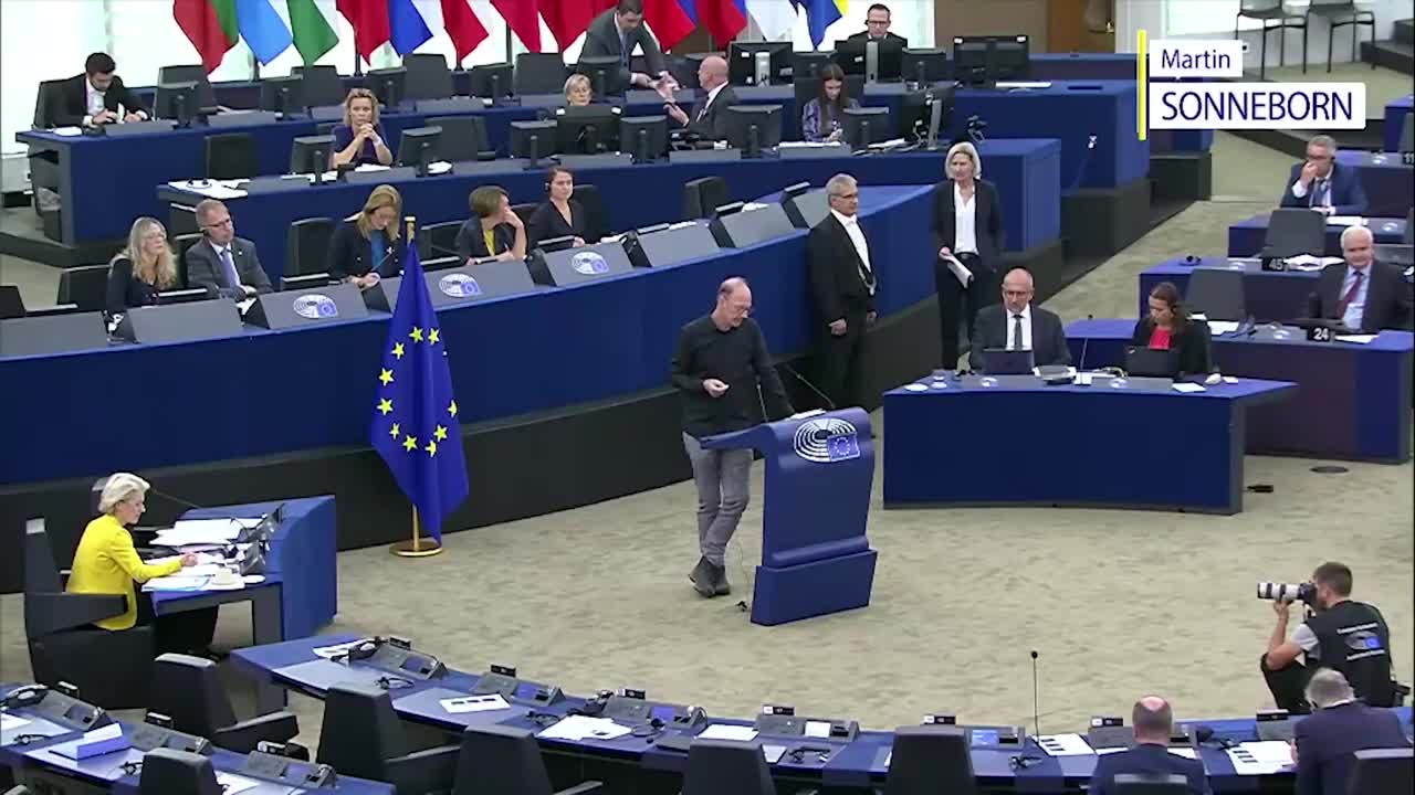 Sonneborn im EU Parlament- 1 Minute 😎