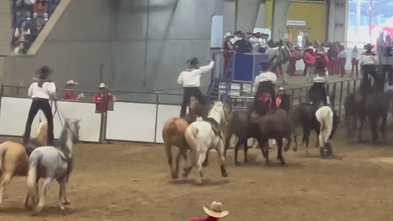 Saturday Morning Red Roman 2023