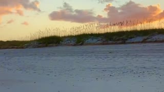 Beaches? We have beaches.
