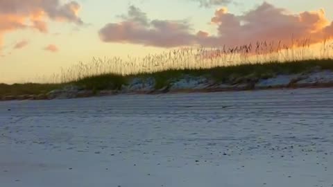 Beaches? We have beaches.
