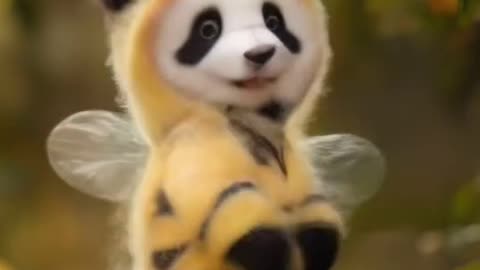 Cute panda | so cute animal | very funny panda