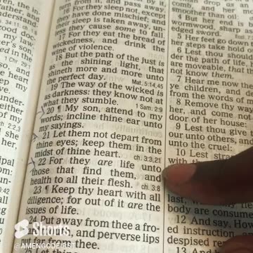 chosen ones daily scripture proverb 4 20-22 Gods words don’t let them out of your sight!