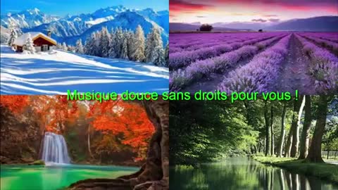 SOFT Music without copyright No Copyrights! ZEN music for you!