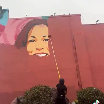 Watching Kamala paint dry.