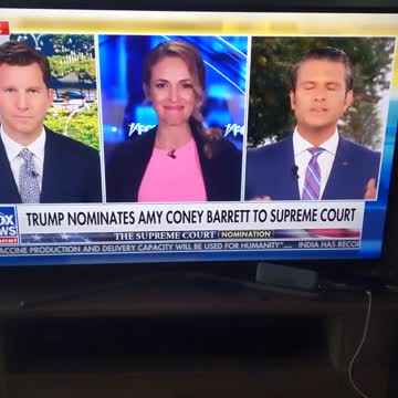 Fox knows about the storm ⛈️🐸