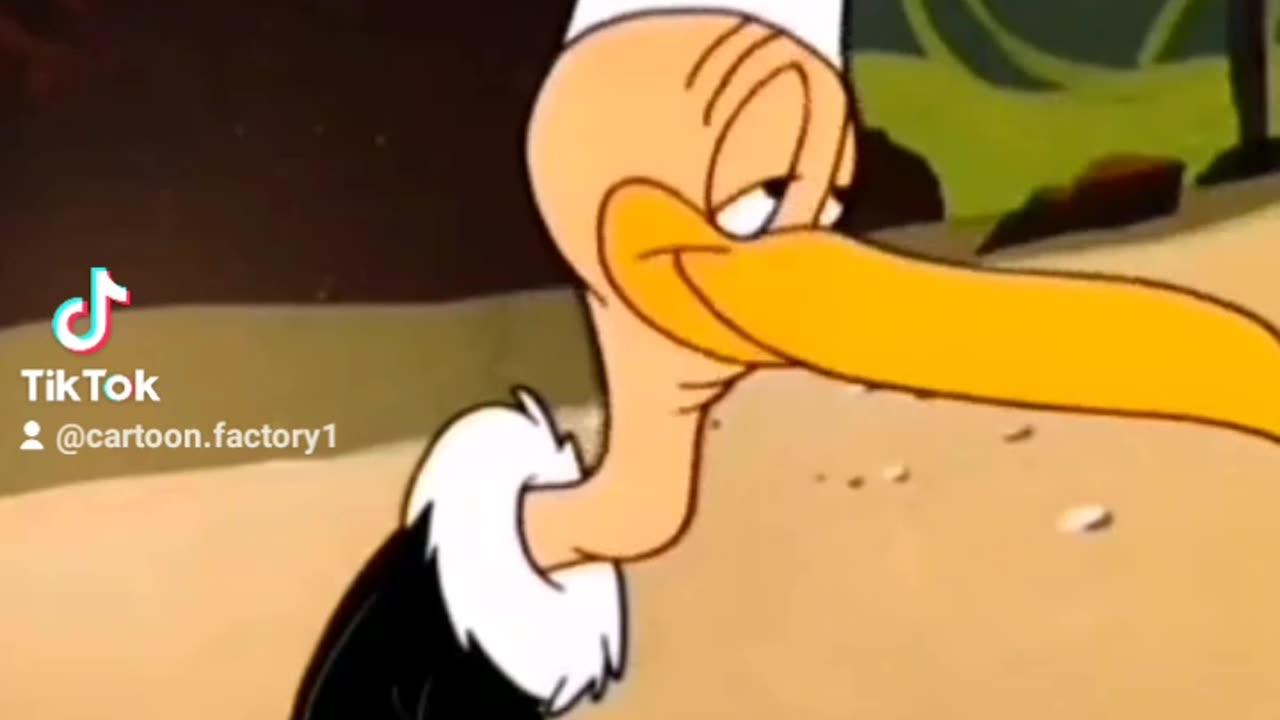 Cartoons