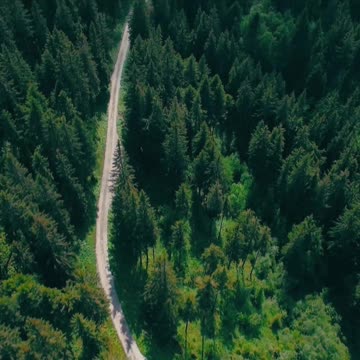 ANGRY FISHES DASHING!