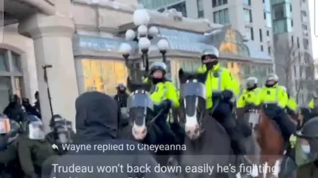 Canada Truckers Convoy Feb 18 2022 - Citizens trampled by police on horseback.