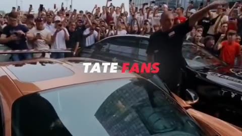 Andrew Tate: The Unparalleled Fan Support That Sets Him Apart