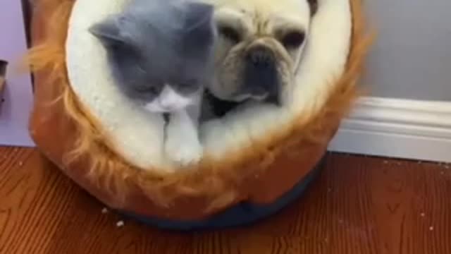 Кто в теремочке живёт?)))