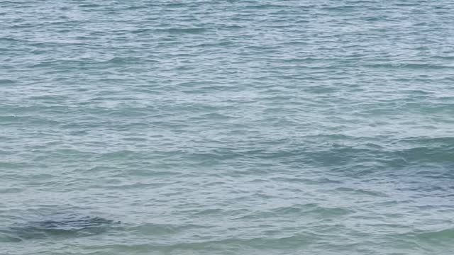 Sea fishing man, sky and waves