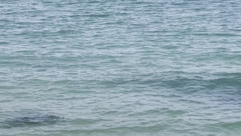 Sea fishing man, sky and waves