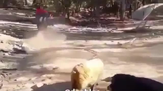 Funny video