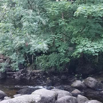 Dartmeat. River Dart. Dartmoor. August 2022