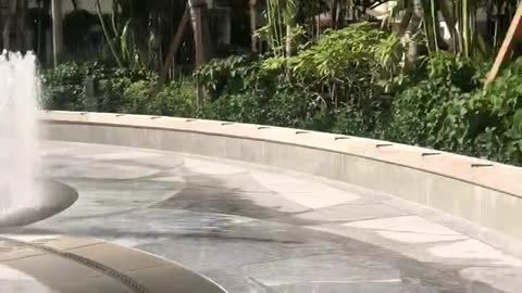 Her first water fountain view