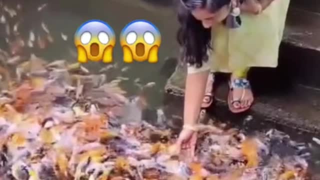 Oh, my God, a little bit of food can make a pond full of goldfish