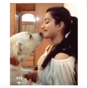 Viral video : Girls with Dog Vs boys with Dog #rumbleshorts