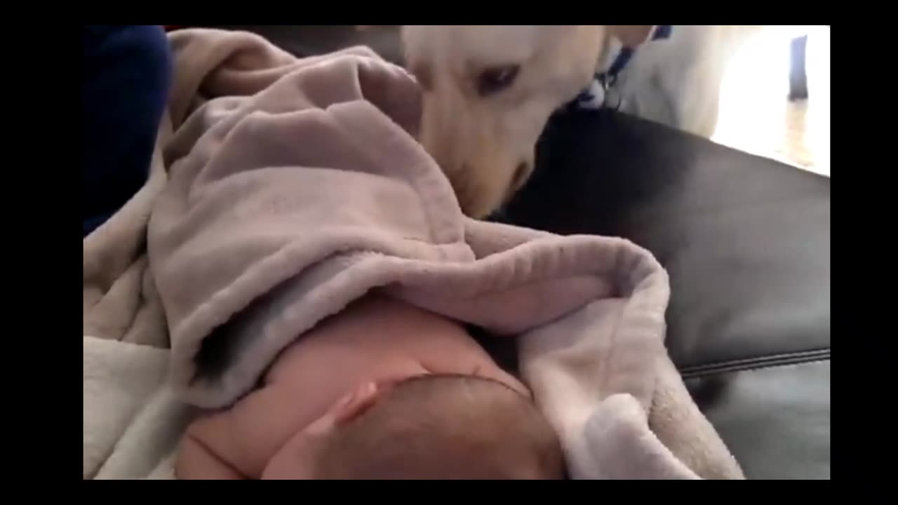 Dog covers sleeping baby up 🥰😍🤩😘