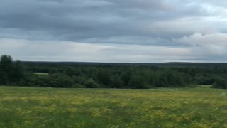 Beautiful sky and flower meadow