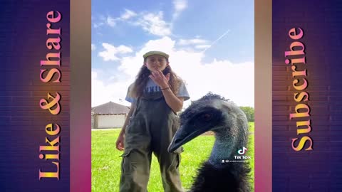 Emmanuel and Ostrich Go Viral 😂😂 This is the Best Video of 2022