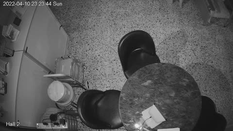 hallmid day n night 20220410