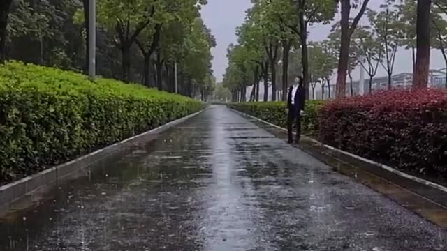 Relaxing Videos Rain