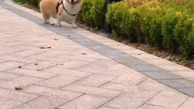 Be sure to shovel shit quietly and surprise everyone