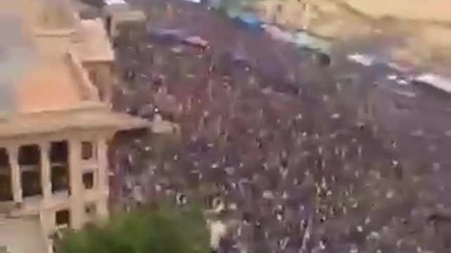After the swarm. Full occupy