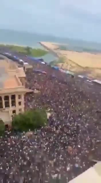 After the swarm. Full occupy