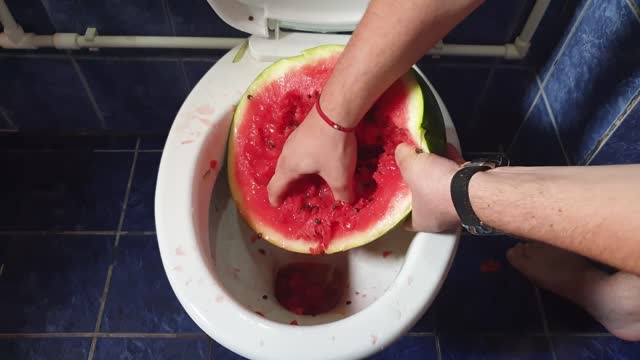 Will it Flush?! Watermelon