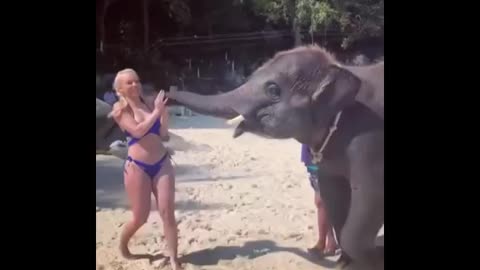 Elephant Girl Funny Video