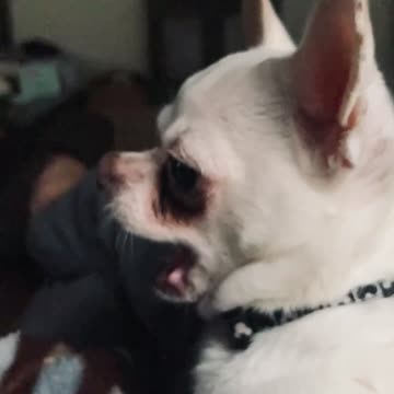 What’s going on inside her head?