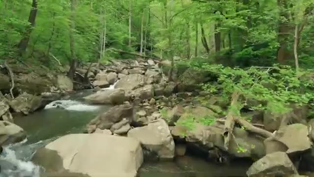 Relaxing sleeping music , stress relaxing music, meditation music