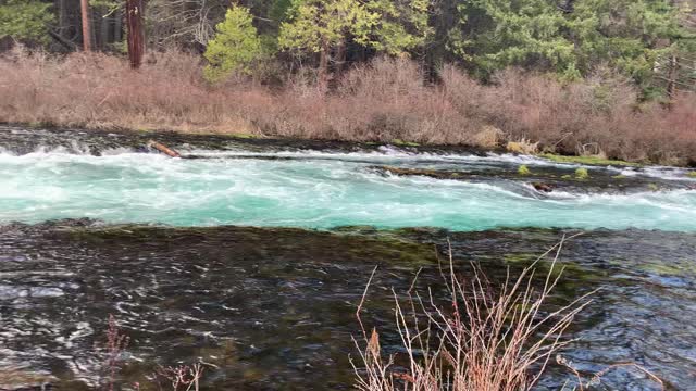 That Color is RIDICULOUS! – Metolius River – Central Oregon