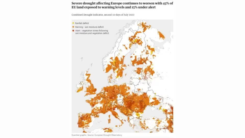 Droughts are causing massive crop losses