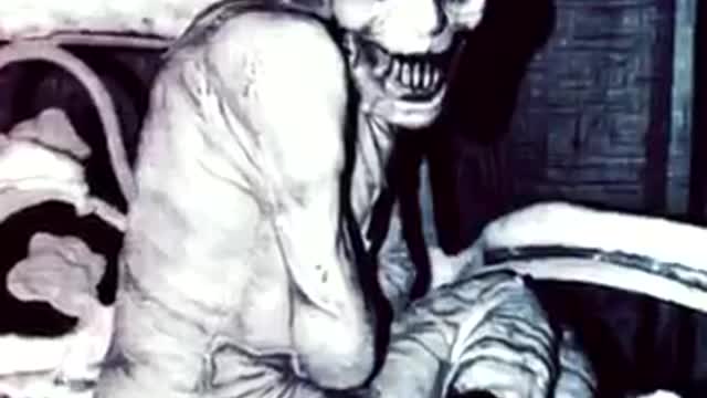 Russian sleep experiment