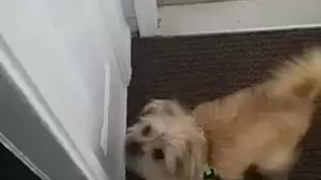 Checking it