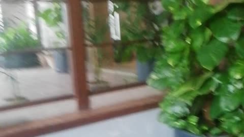 Multi Videos