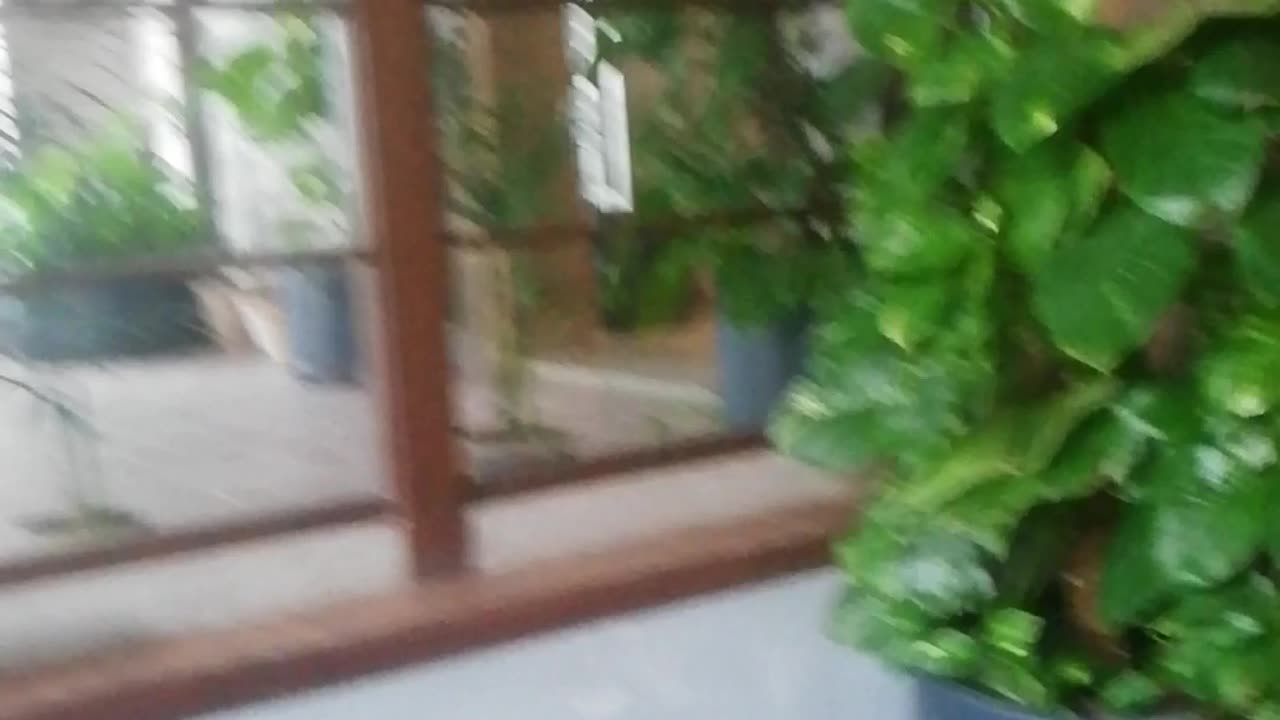 Multi Videos