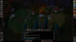 Baldur's Gate 1 - Where to buy Robe of Good Archmagi and Robe of Neutral Archmagi