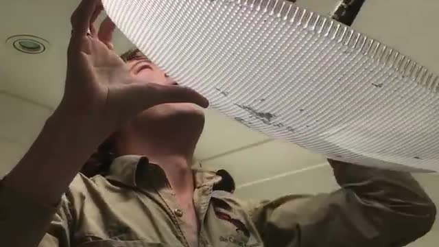 Man Pulls Five Foot Snake From Bathroom Skylight