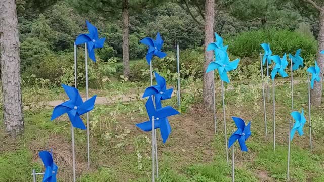 Korea countryside pinwheel