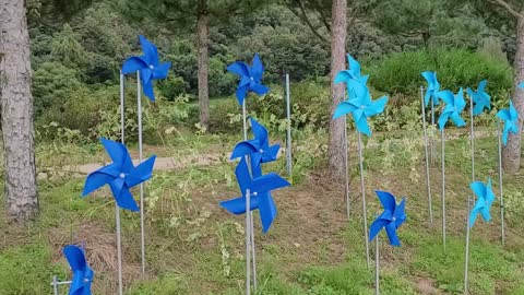 Korea countryside pinwheel