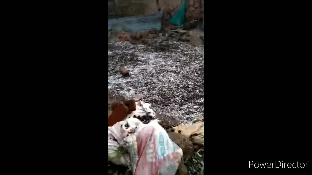 Hail with rain
