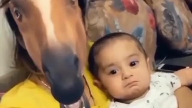 Funny Video 🤣😜 _ Cute Baby _ Comedy Video...