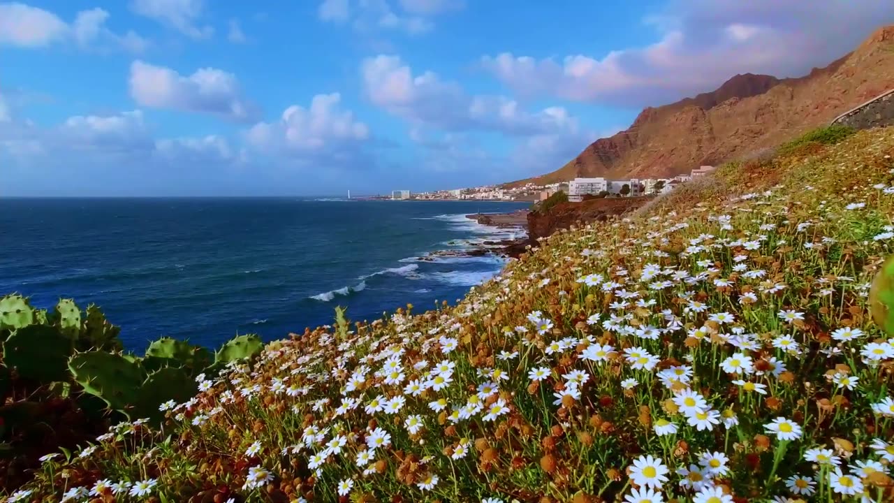 Real 4k HDR Ultra HD 60fps 2160p Relaxation Video.