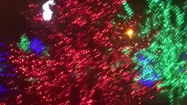 Jingle Bells in the magic forest