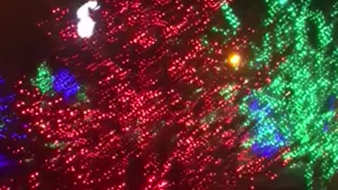 Jingle Bells in the magic forest