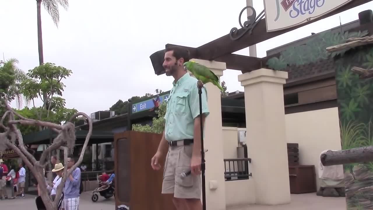 Parrot Talking Zoo Visits_p1
