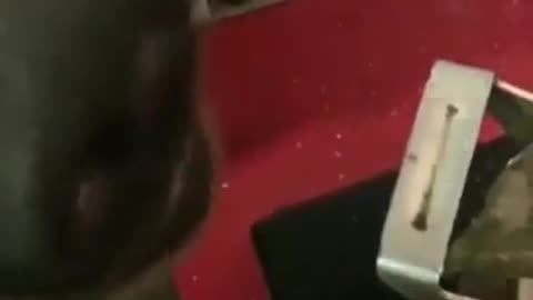 The chef controls
